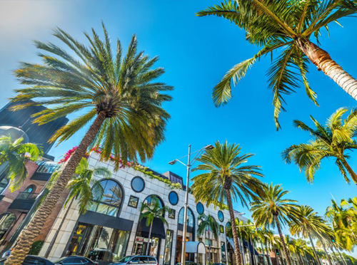 This image is used for Rodeo Drive link button